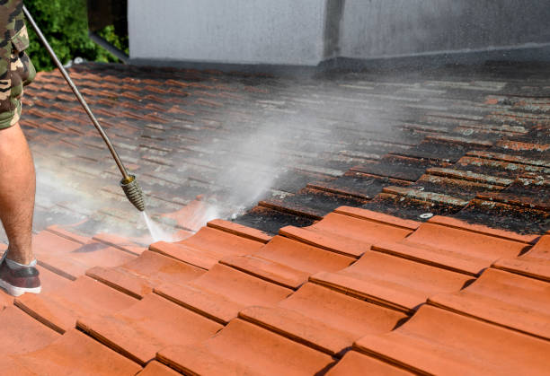 Best Commercial Pressure Washing  in Willmsburg, IA