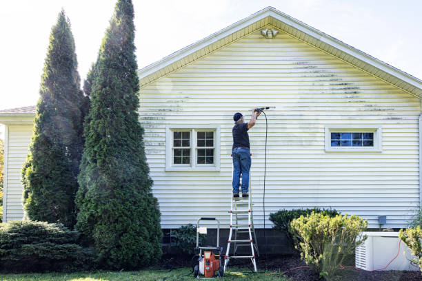 Best Residential Pressure Washing Services  in Willmsburg, IA