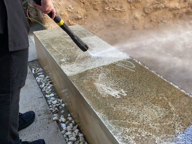 Best Deck Cleaning Services  in Willmsburg, IA