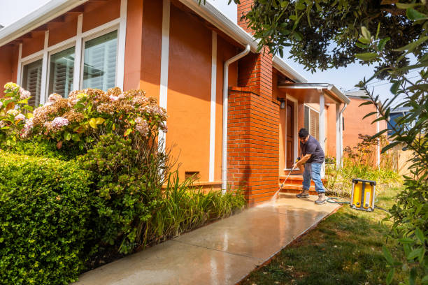 Best Affordable Power Washing  in Willmsburg, IA
