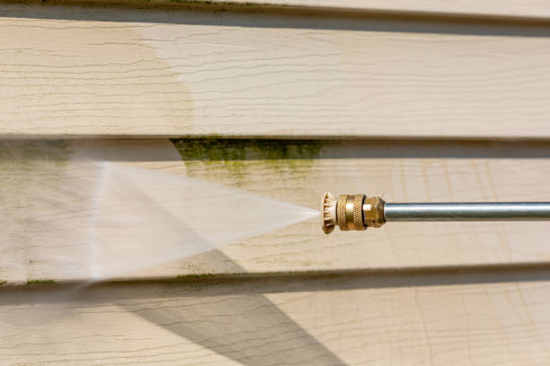 Best Sidewalk Pressure Washing  in Willmsburg, IA