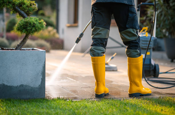 Best Pressure Washing Services Near Me  in Willmsburg, IA